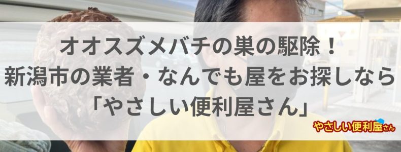 オオスズメバチの巣の駆除を行いました！新潟市の業者・なんでも屋をお探しなら「やさしい便利屋さん」