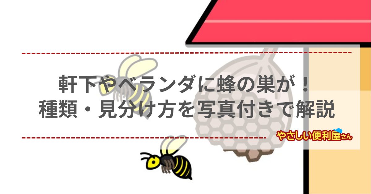 軒下やベランダに蜂の巣が！種類・見分け方を写真付きで解説