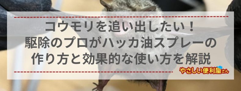 コウモリを追い出したい！駆除のプロがハッカ油スプレーの作り方と効果的な使い方を解説