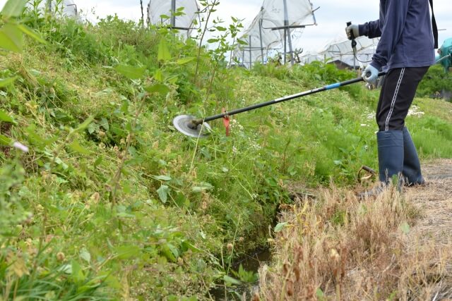 斜面の草刈り