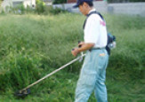 新潟　草刈り・草取り・草むしり